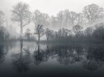 pond-poland-winter-morning_87535_990x742