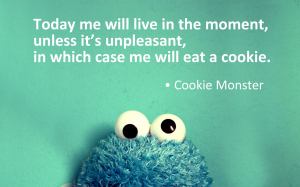 cookie-monster-wisdom
